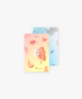BTS - THE MOST BEAUTIFUL MOMENT IN LIFE PT.2